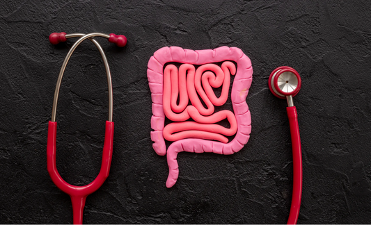 Benefits of Best Gut Health Supplement